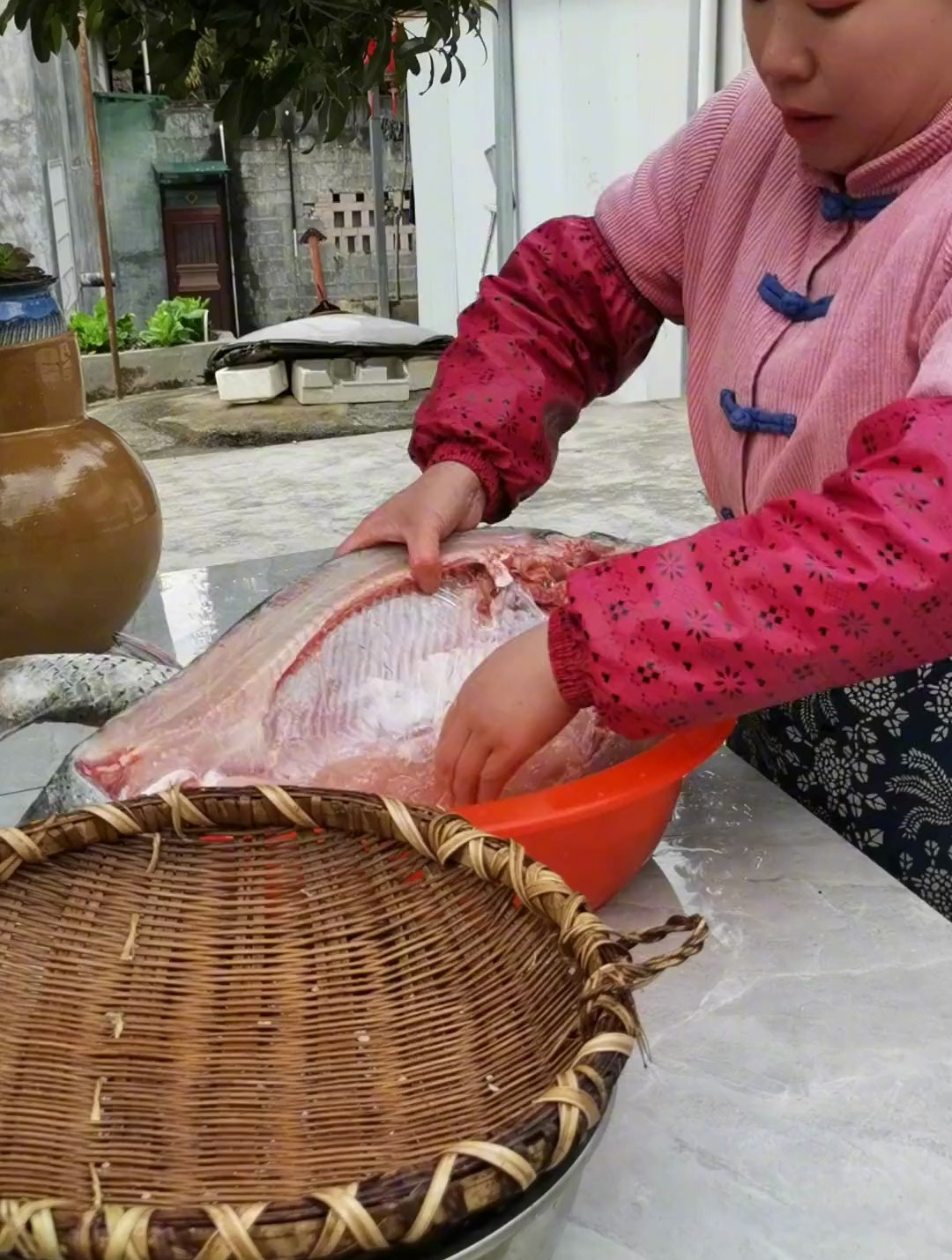 今天做了风干鱼块,7天自然吹干,风干后的鱼炸,炒,蒸都好吃