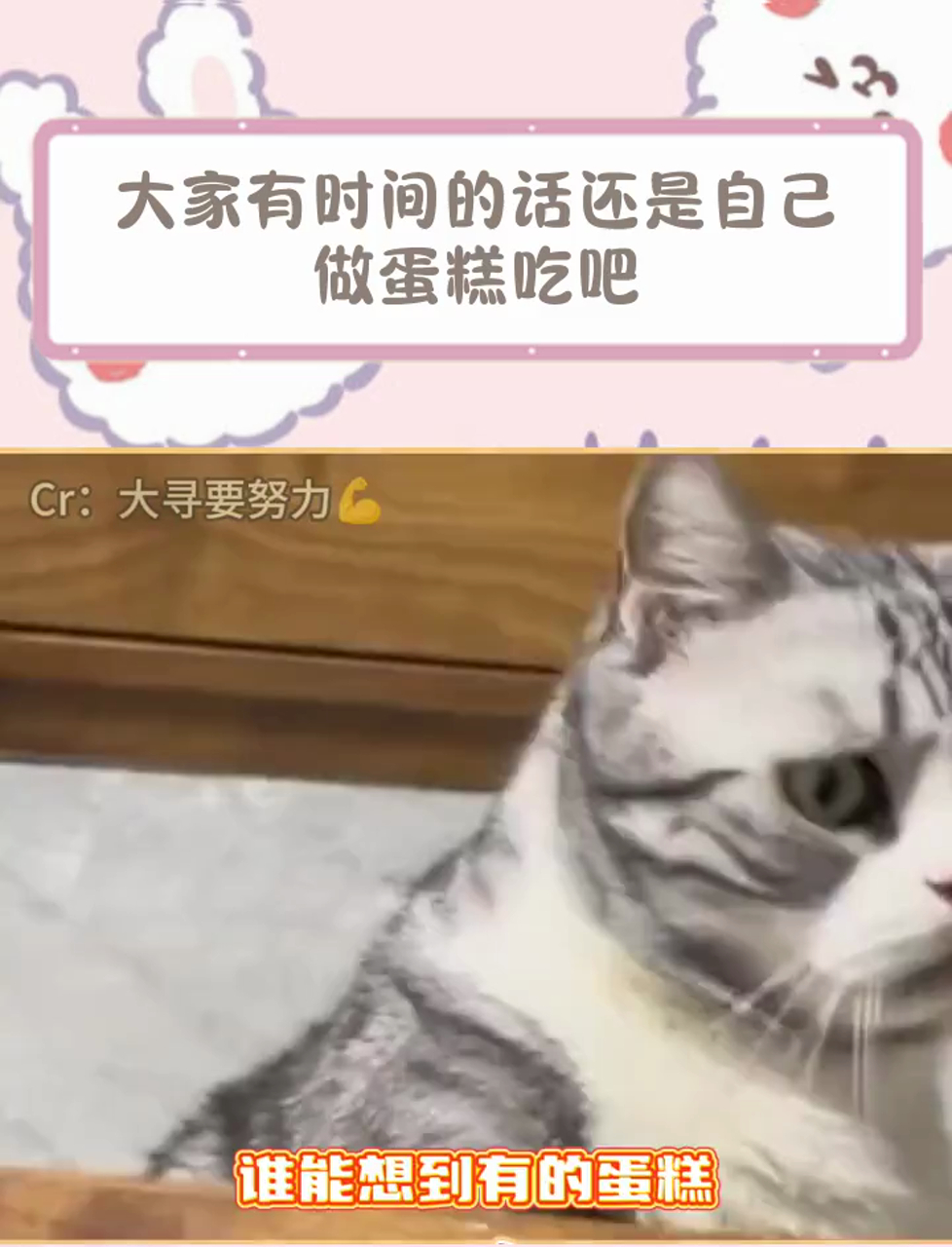 谁能想到有的蛋糕都不是奶油做的