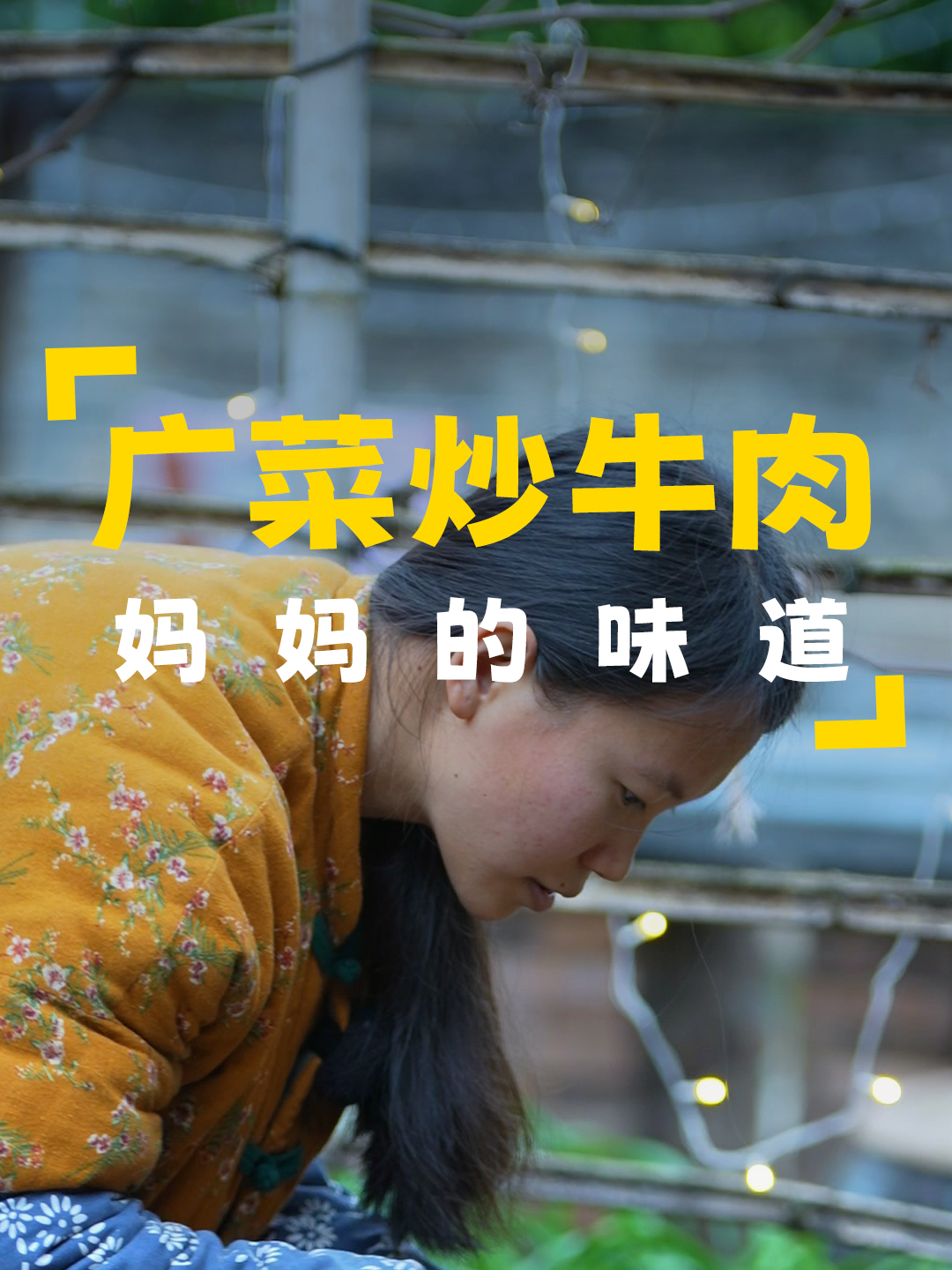 撒上秋葵和韭菜种子,还有一些红苋菜种子,再割些广菜回去炒牛肉