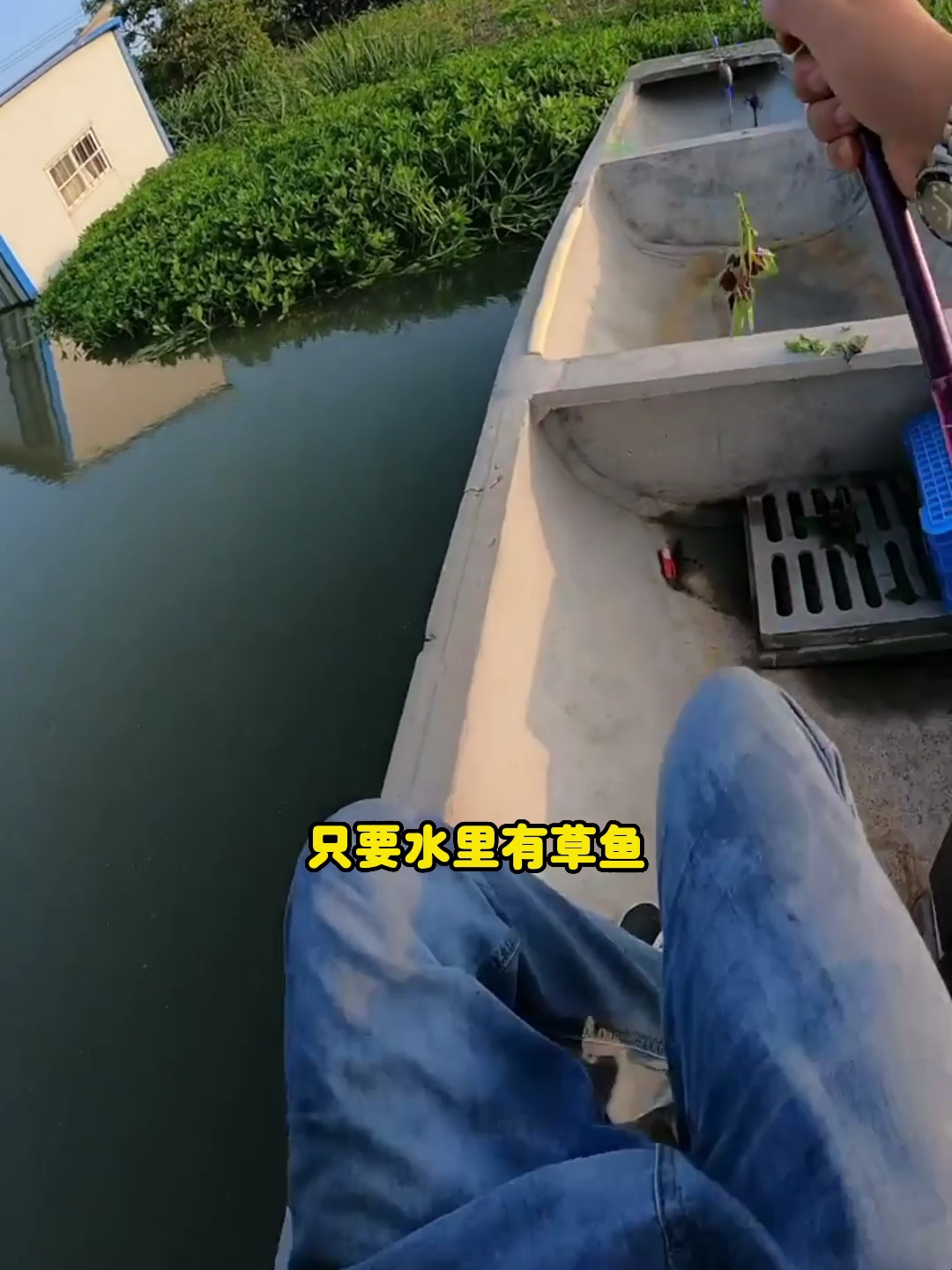 夏季钓草鱼用什么效果最好?钓友:玉米加点草鱼爱的味道就够了