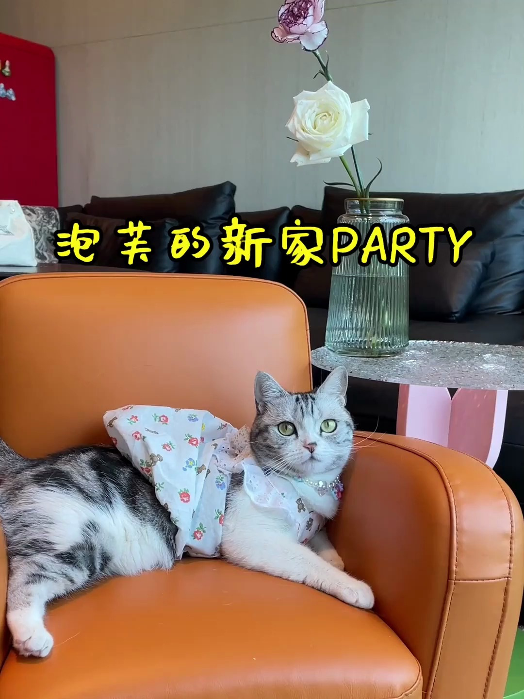 乔迁大喜感谢朋友们一起来暖房愿诸事皆顺 暖居如意
