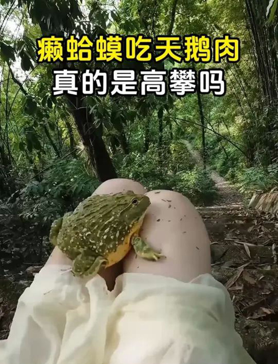 癞蛤蟆吃天鹅肉，真的是高攀吗？