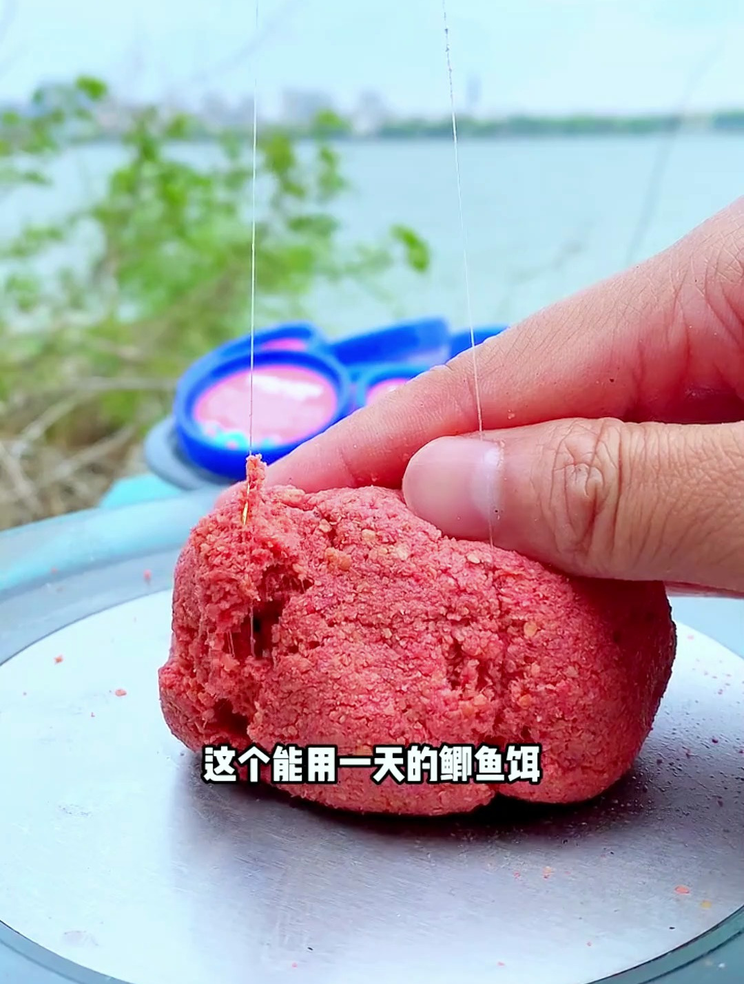 如果你用这个饵料还钓不到鱼,那就把钓鱼戒了了