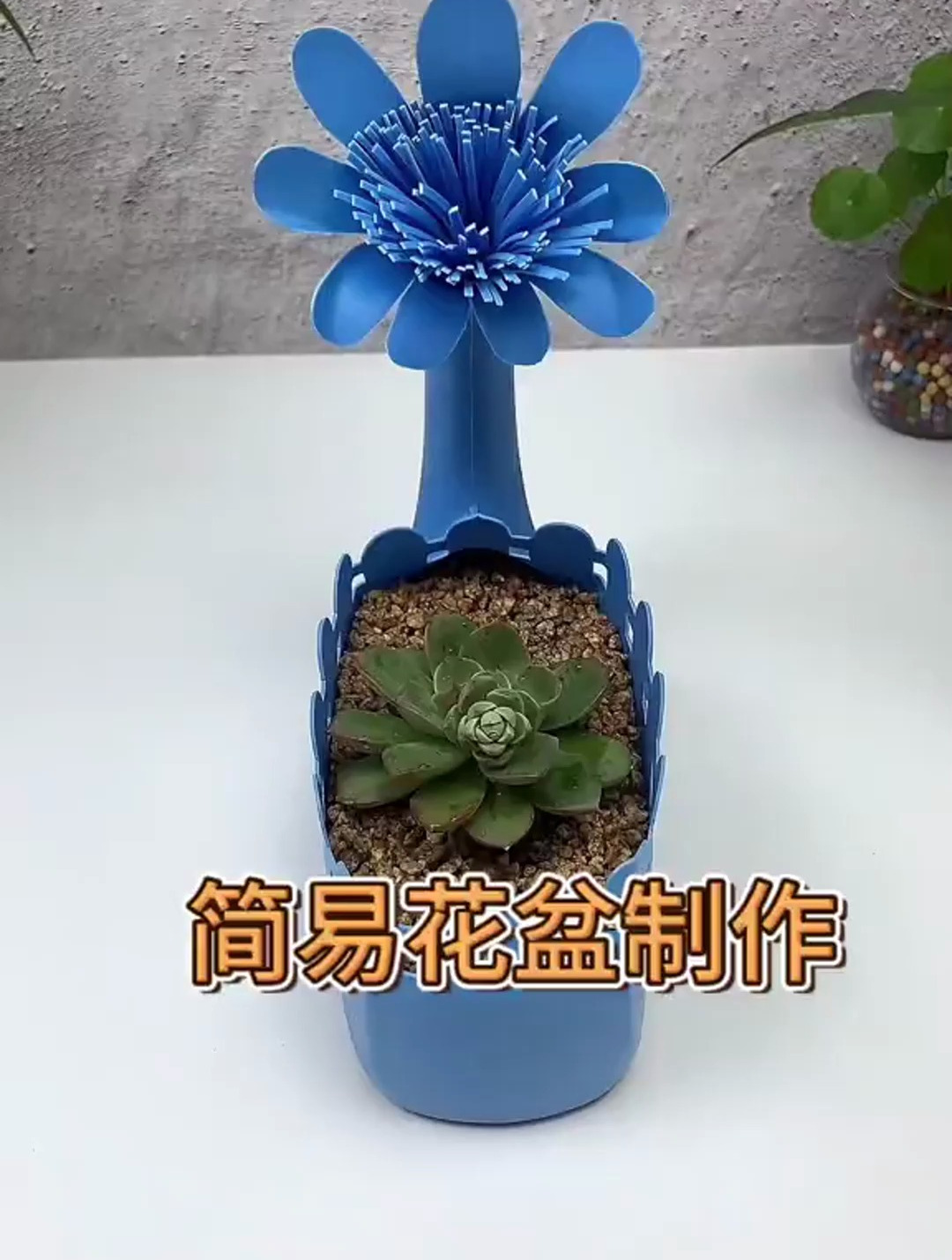 家里的洗衣液瓶子不要扔,做个简易花盆挺好的!