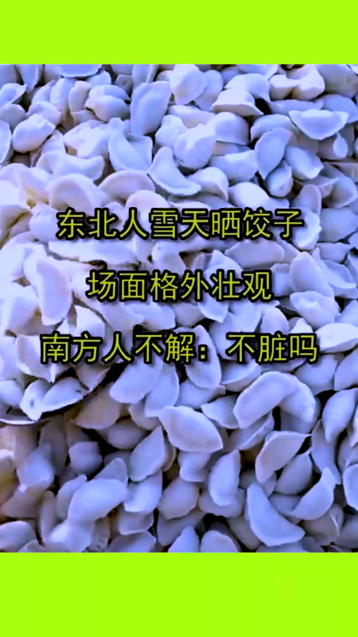 东北人雪天晒饺子,场面格外壮观,南方很不解:不脏吗
