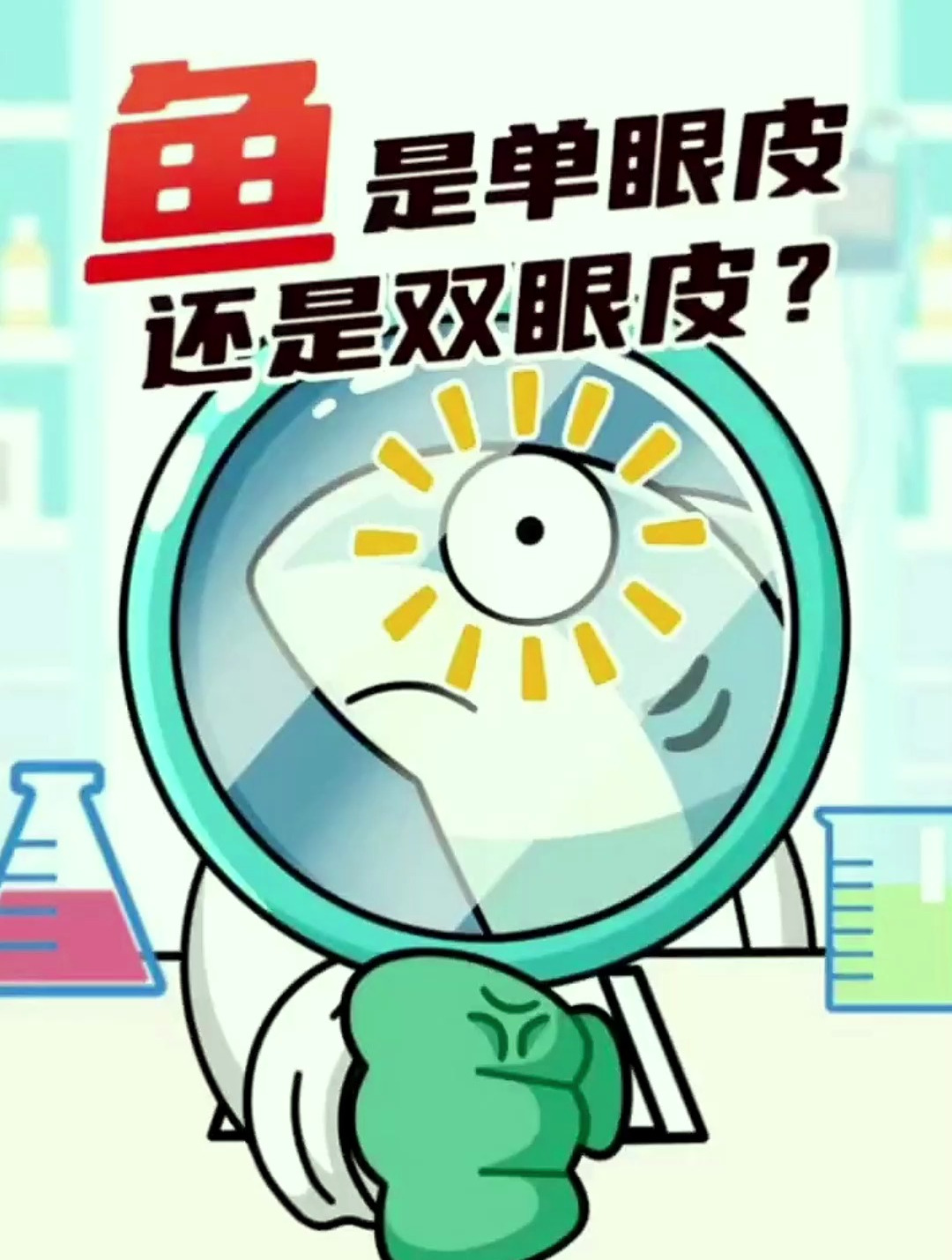 鱼是单眼皮还是双眼皮?科普 科学 涨知识