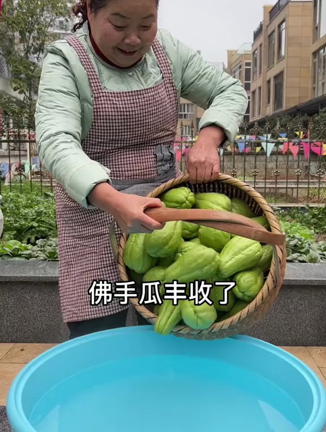 朋友们,佛手瓜丰收了,今天分享几种佛手瓜的做法给大家看看