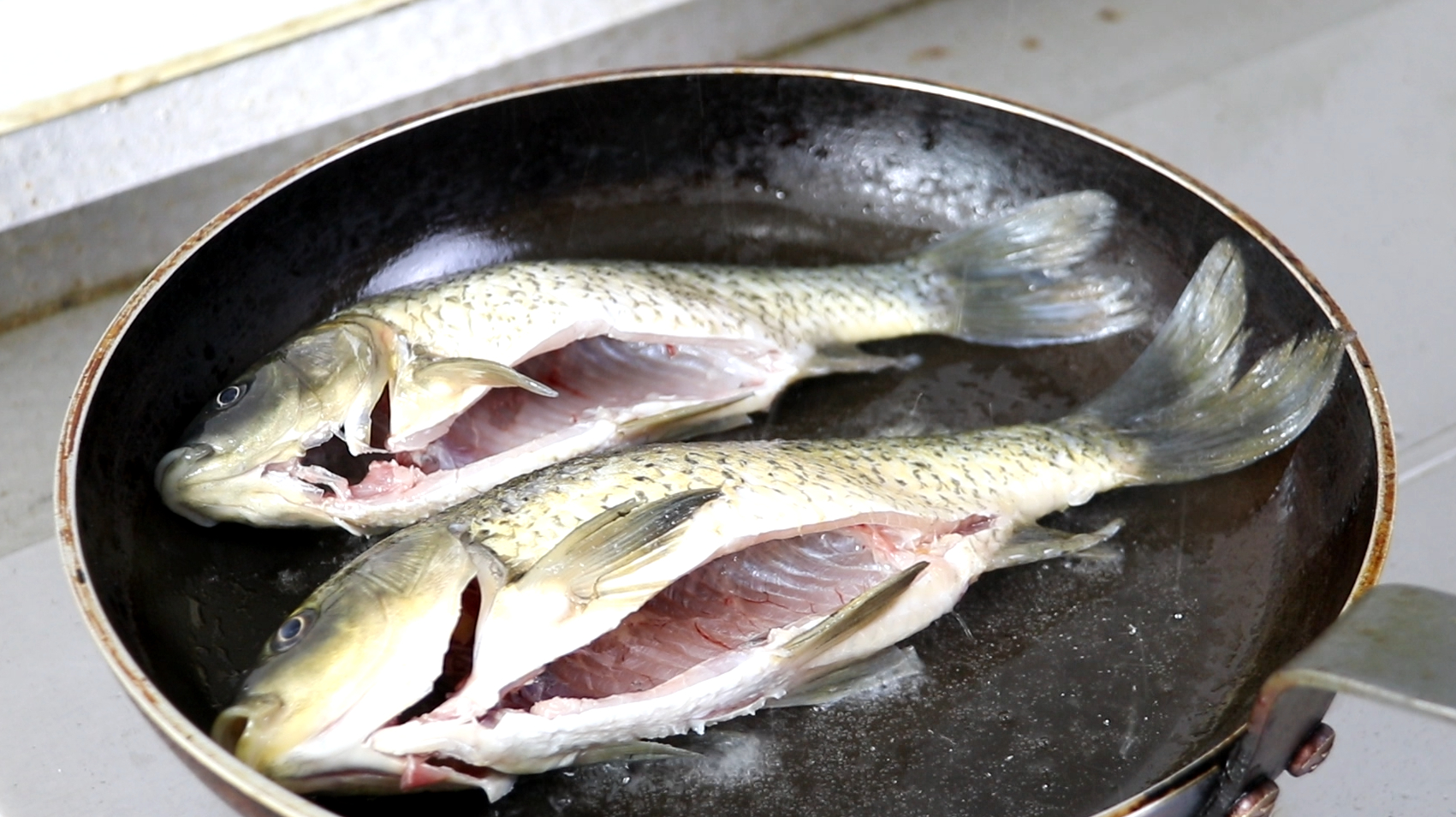 营养不良、贫血，教你1款鲫鱼汤，温中补虚，养血补血！