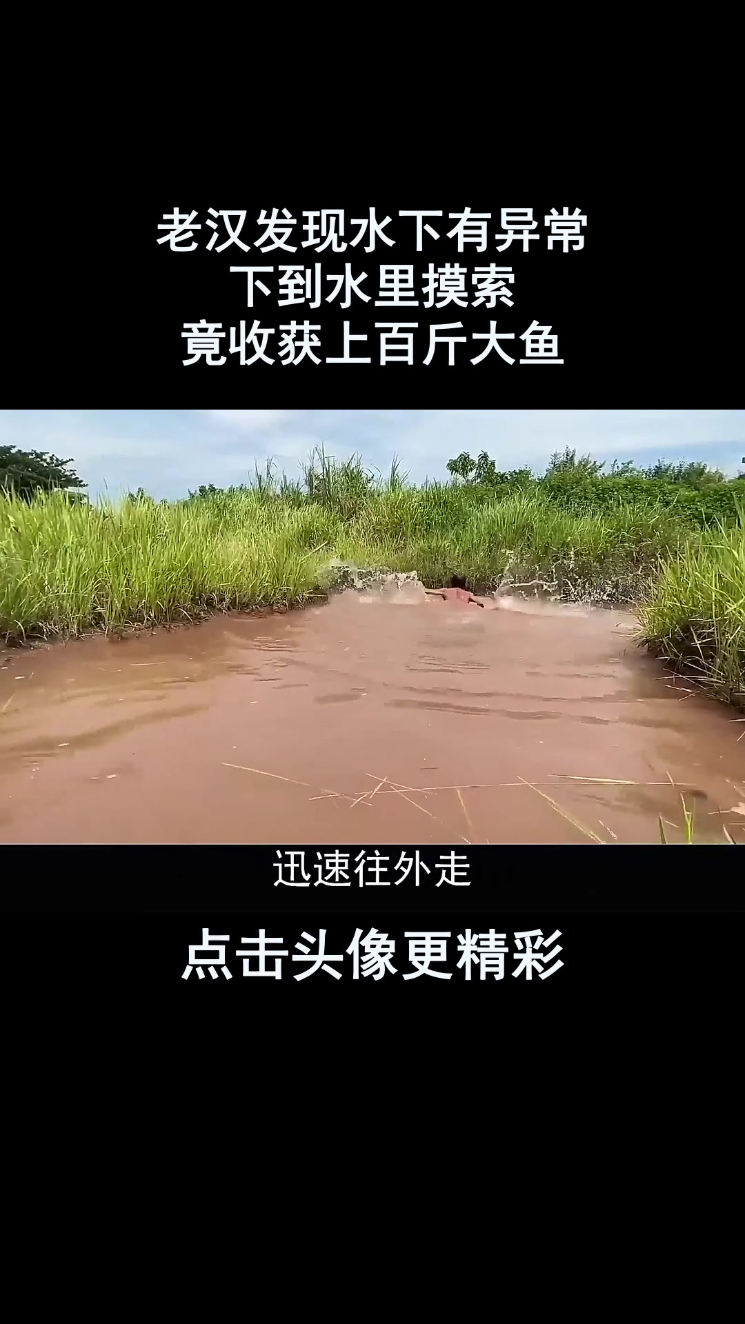 老汉发现水下有异常,下到水里摸索,竟收获上百斤大鱼