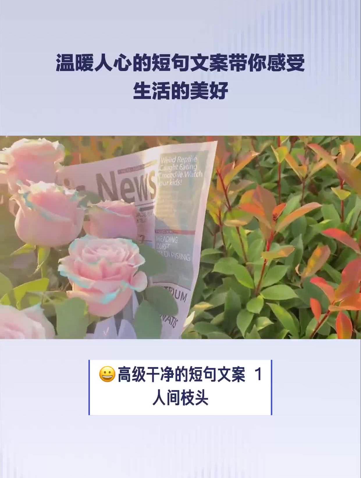 温暖人心的短句文案带你感受生活的美好