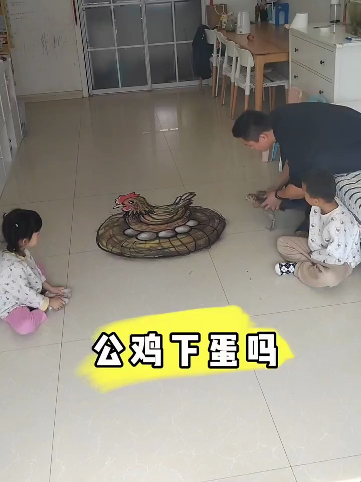 立体画,老母鸡孵蛋