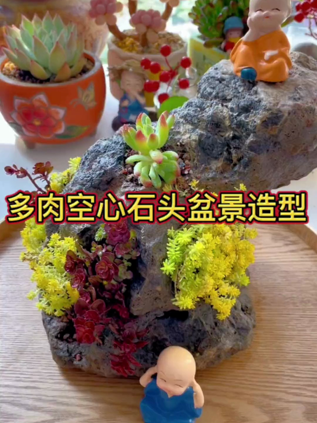 散群多肉半脱土栽种方式,搭配空心石头造景