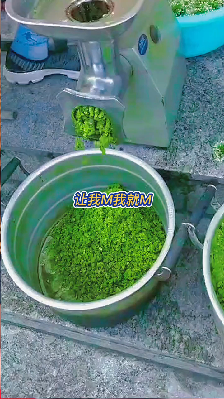 野生韭菜花酱,草原羊肉配上野生韭菜花酱更美味!