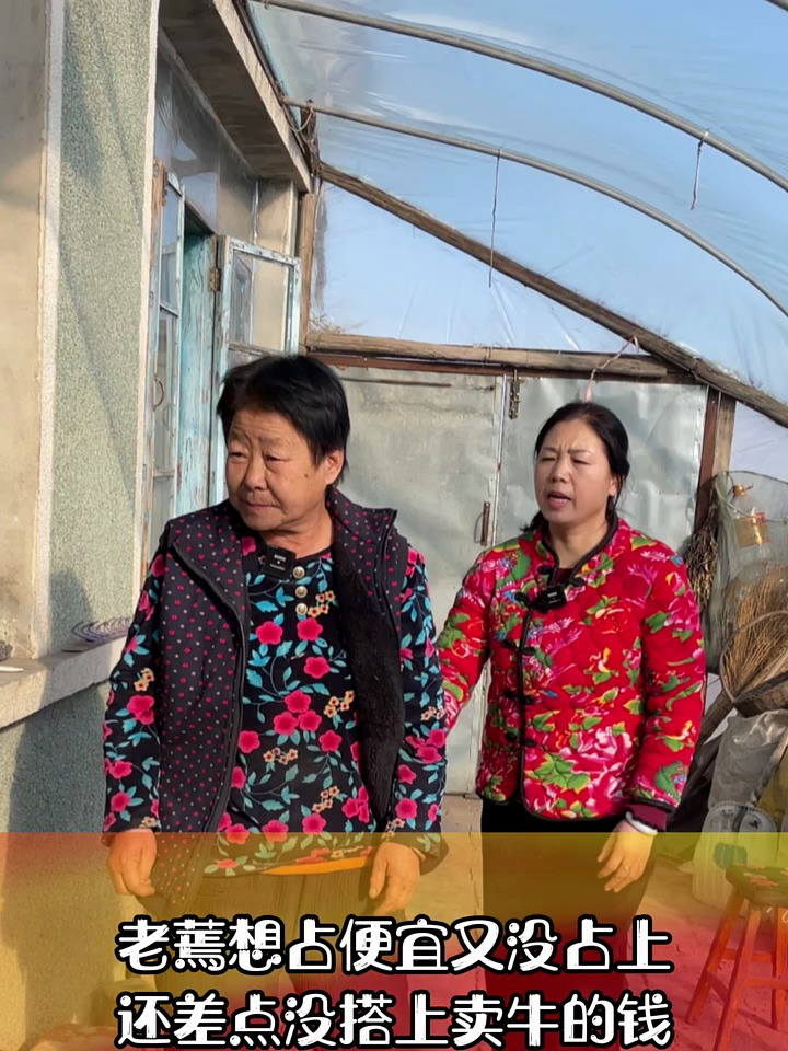 大伯子想法算计钱耍着玩光想占便宜,也没得逞差点没搭上卖牛的钱