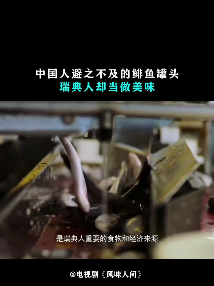 风味人间:中国人避之不及的鲱鱼罐头瑞典人却当做美味