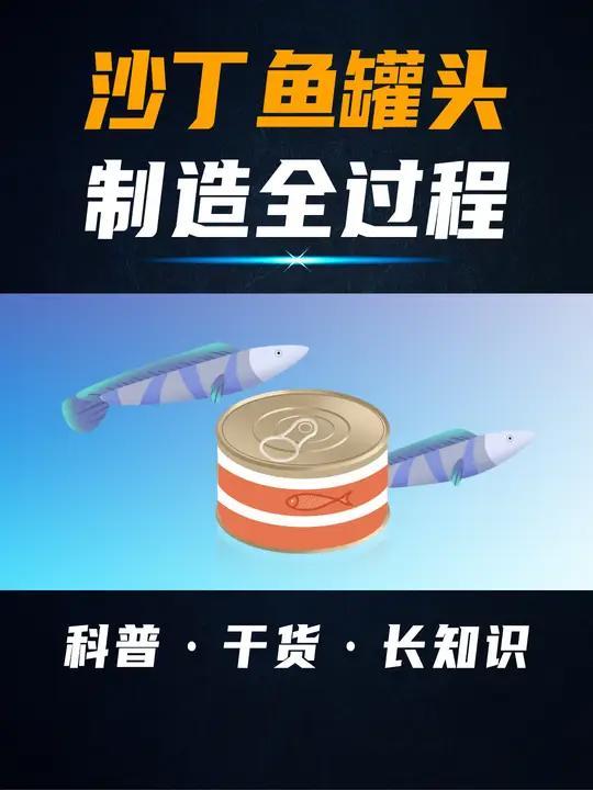 沙丁鱼罐头里到底有多挤?事实和你想的可能不一样!