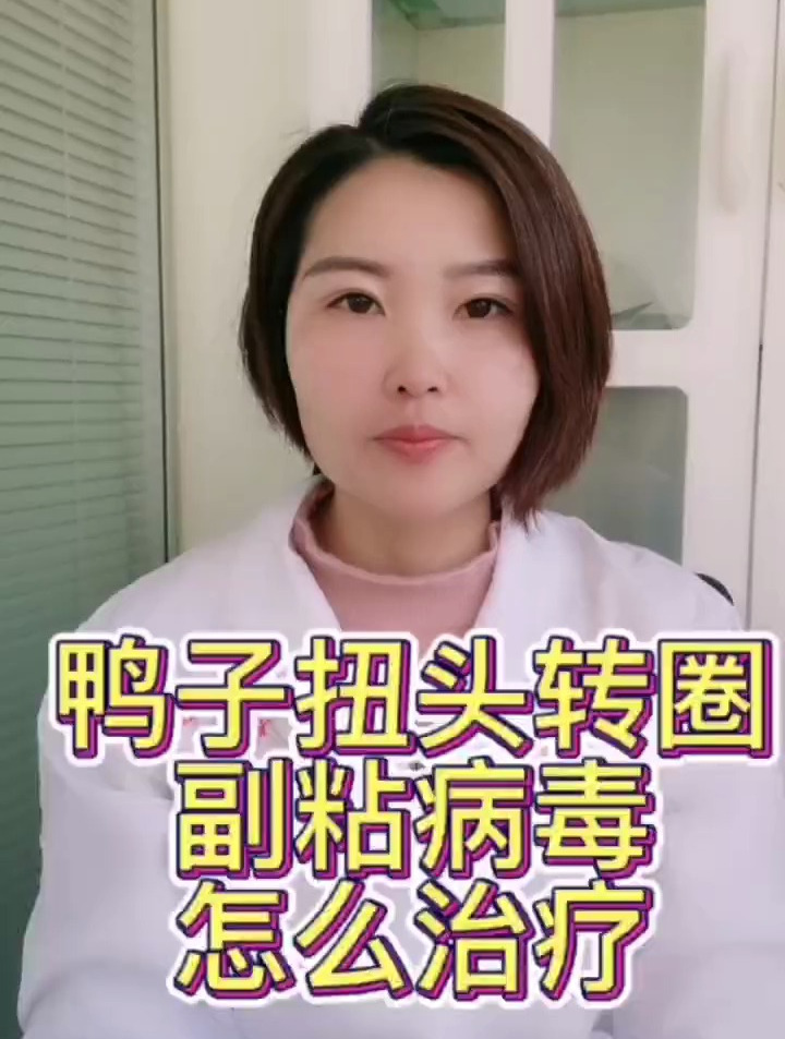 禽医静心谈鸭子扭头转圈是什么病,鸭副粘病毒怎么治疗