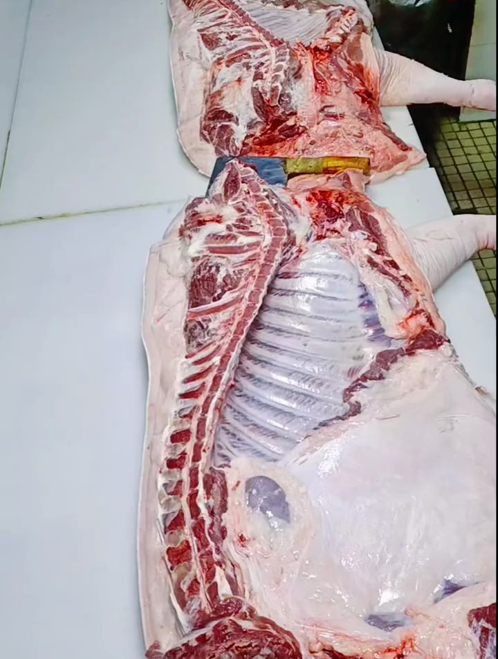 土猪整猪日常分割视频