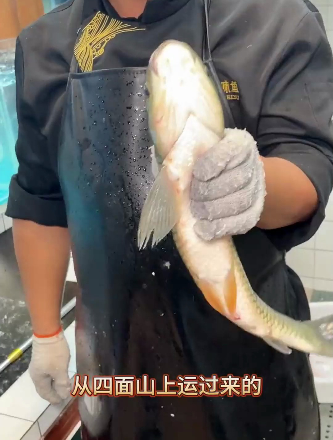 本味鱼只加点盐,都鲜香好吃