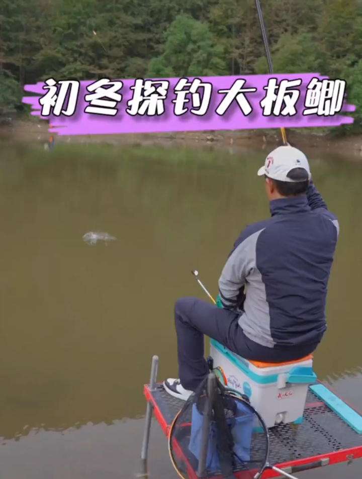 初冬探钓千岛湖野水库大板鲫,解锁一个新渔获品种,其中讲的冬钓
