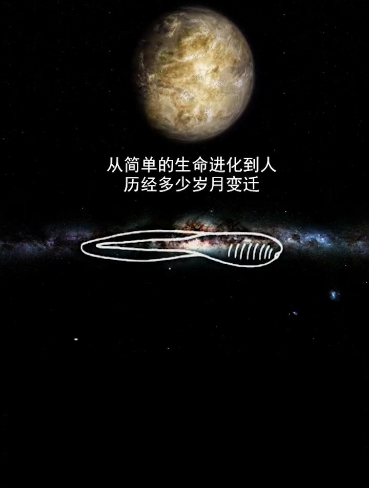 地球上的生命,从最初的单细胞生物演化到拥有智慧的人类