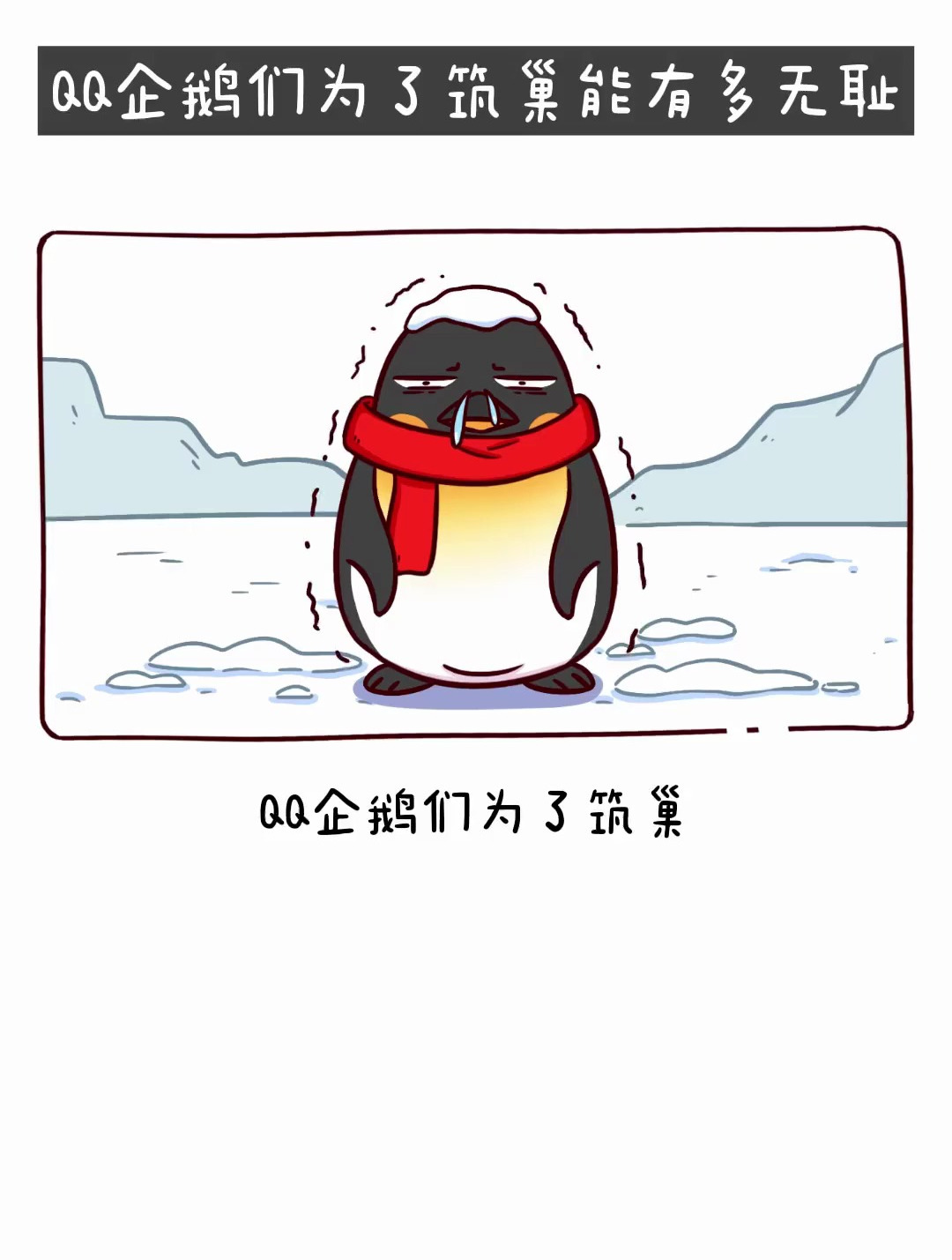 “QQ”企鹅们为了筑巢能有多无耻