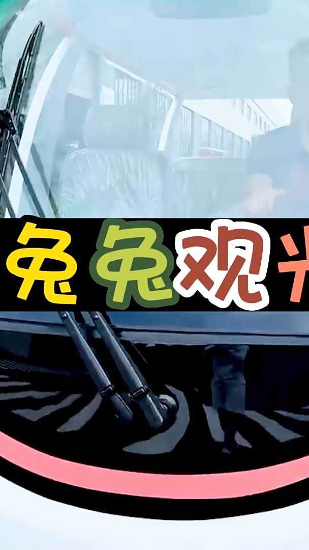卡通兔子电动观光车14座旅游观光摆渡车-萌宠系列景区观光车