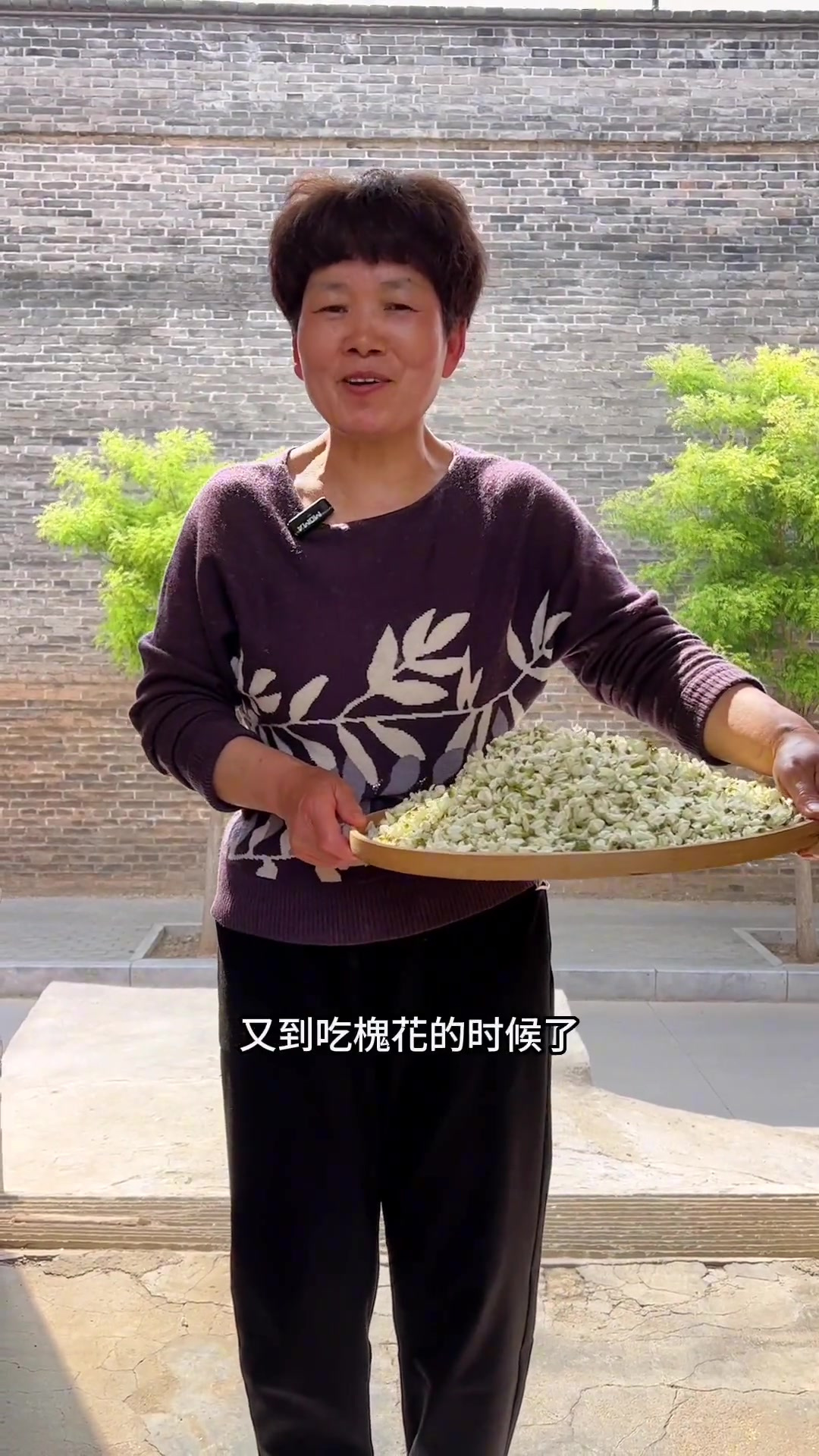 今天分享一个蒸槐花的家常版做法