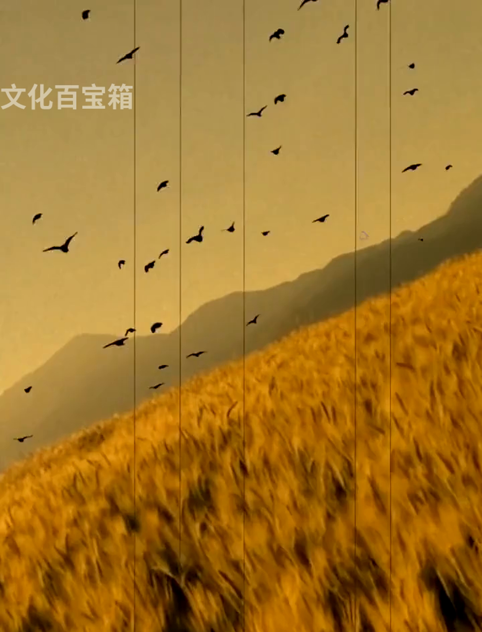 梵高,踏上了不归路