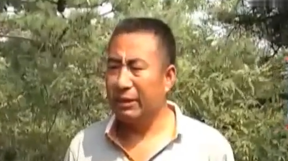 养殖户在山上散养草鸡 为了不破坏森林 每天用毛驴送口粮
