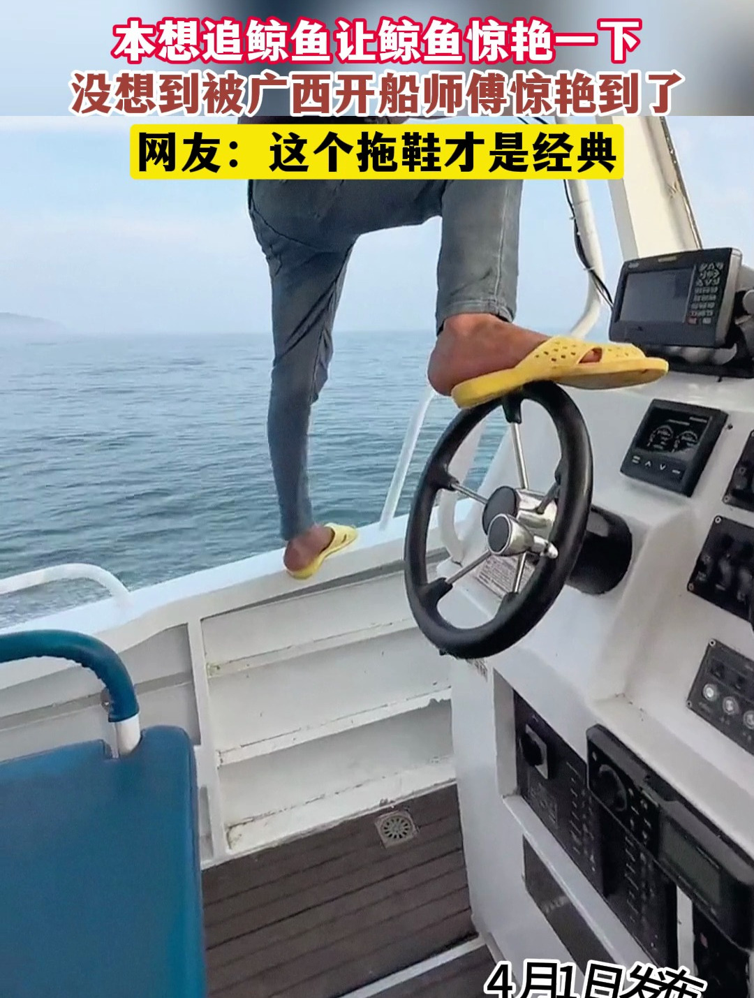 本想追鲸鱼让鲸鱼惊艳一下,没想到被广西开船师傅惊艳到了