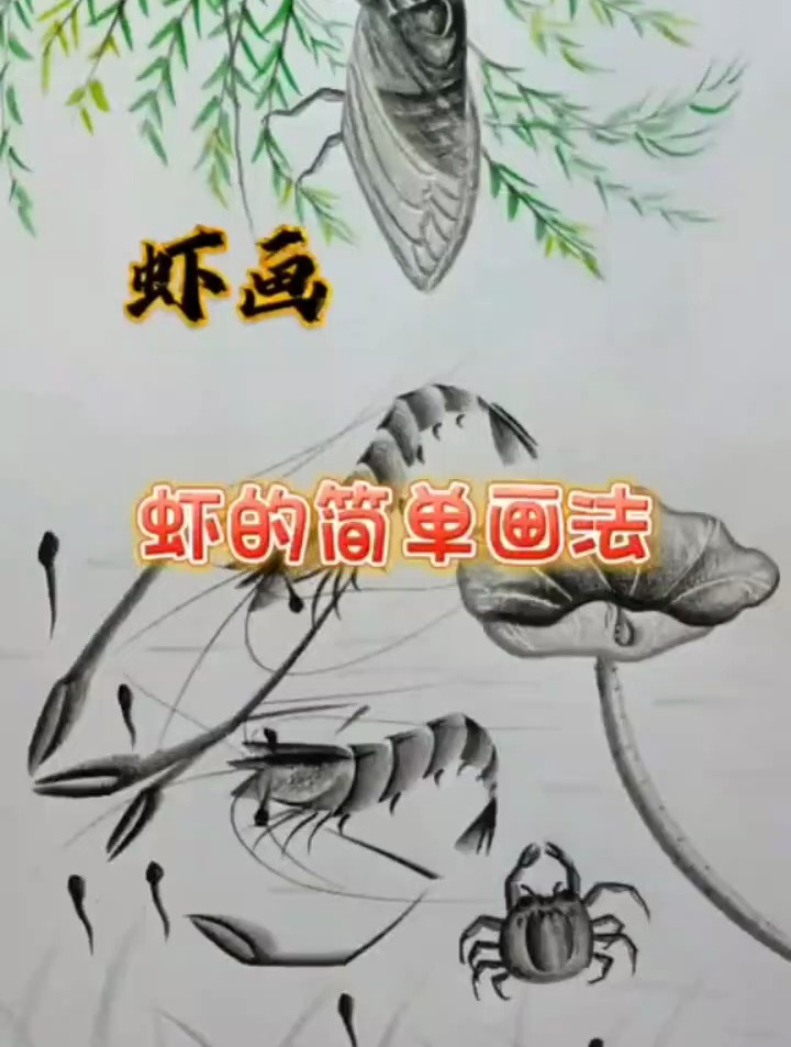 虾的简单画法