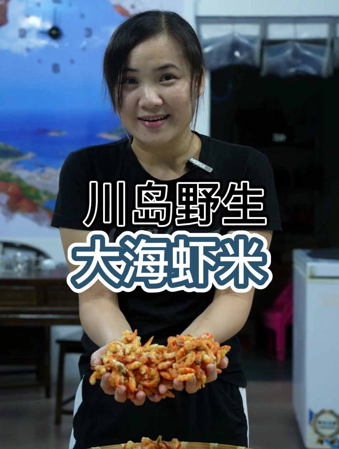 刚晒好的淡口无盐上川岛 纯天然海虾米,个头饱满大个 川岛特产