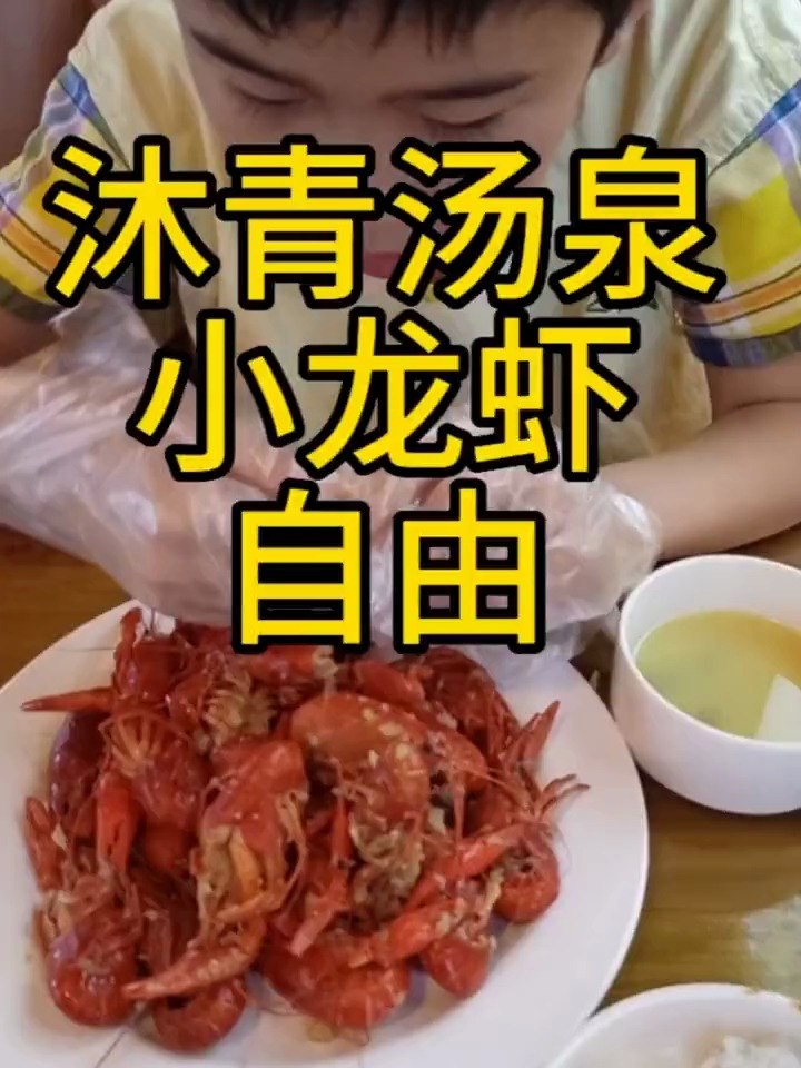 我太爱沐青汤泉了