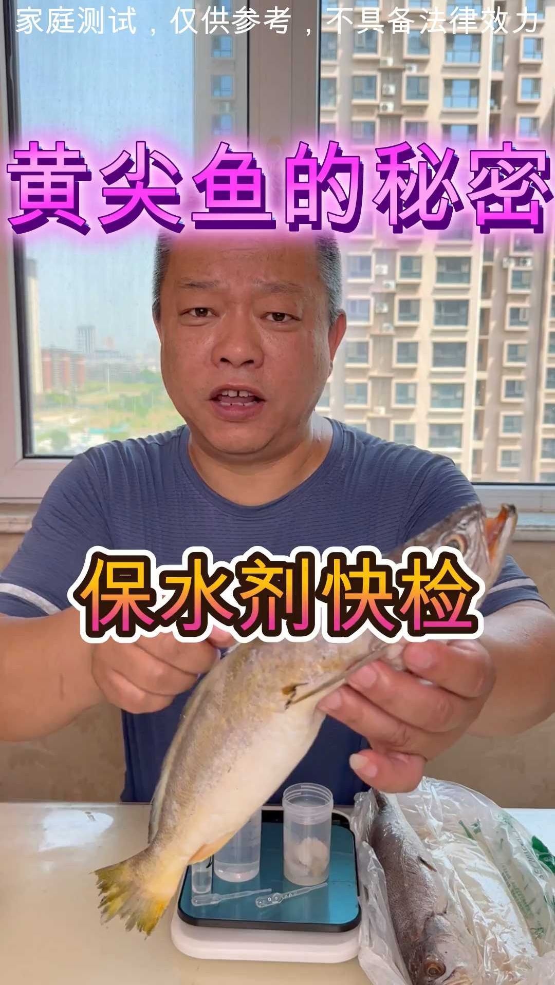 黄尖鱼的秘密是什么