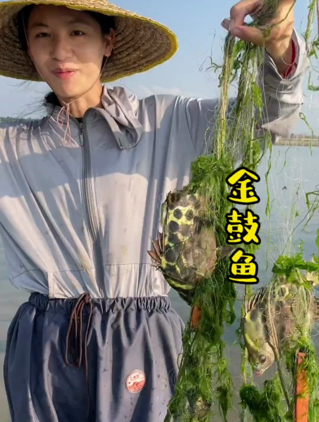 剧毒金鼓鱼,看着漂亮,吃起来肉质还是不错的哦,简简单单又一餐