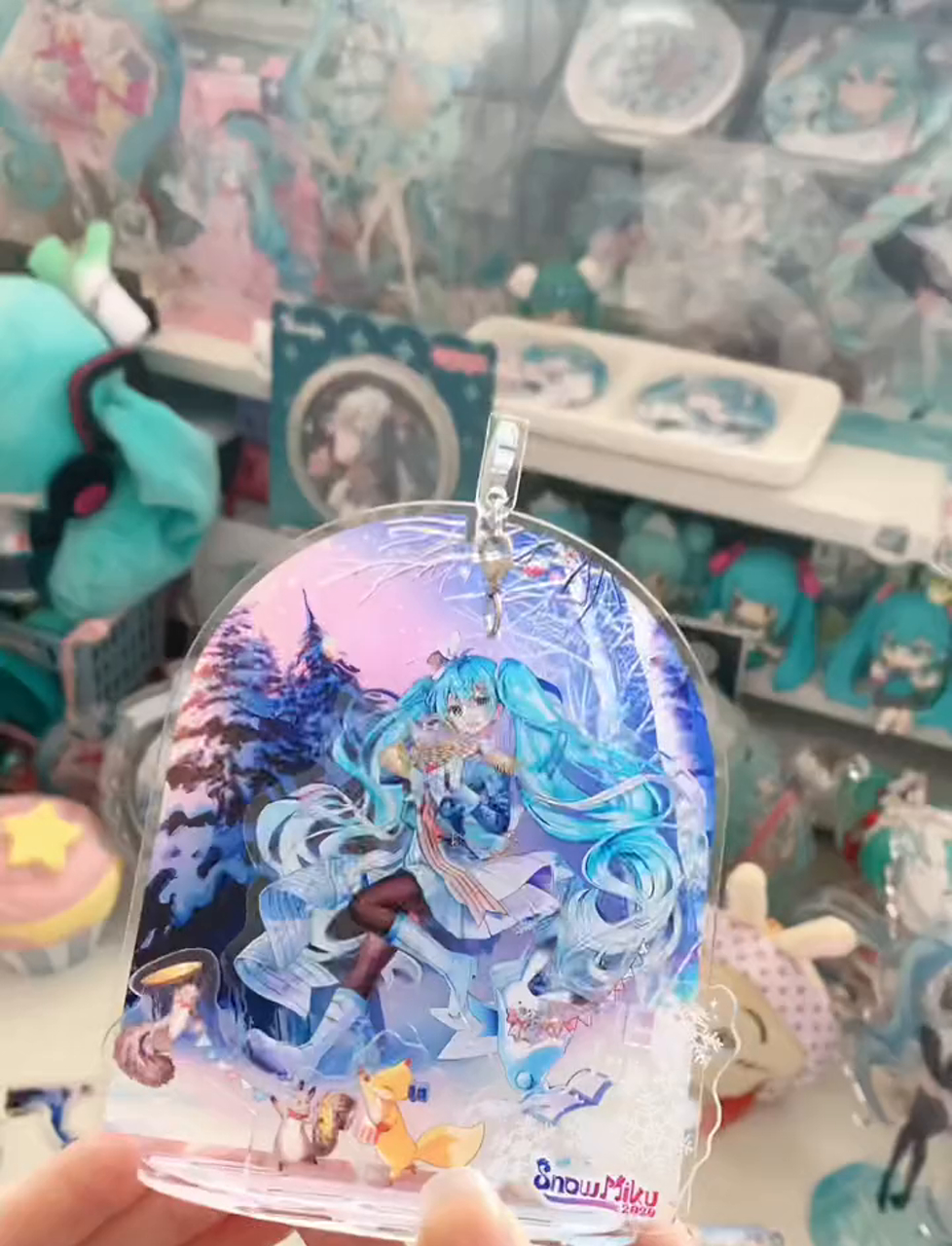 拆立牌啦,喵星人明天要回筑波的家了,开心!