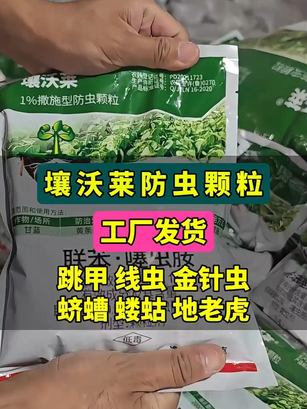 强效除虫,撒一撒,虫子全跑光