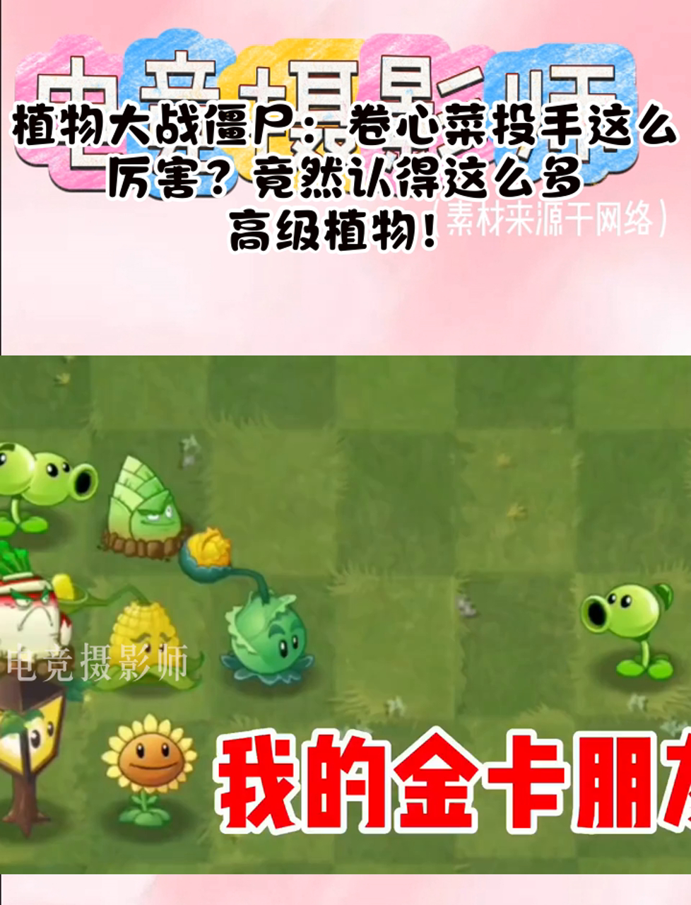 植物大战僵尸:卷心菜投手这么厉害?竟然认得这么多高级植物!