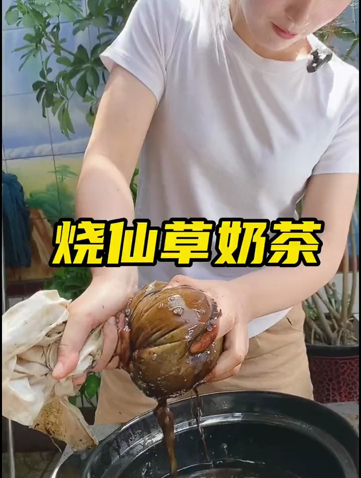 做一杯冰冰凉凉的烧仙草奶茶