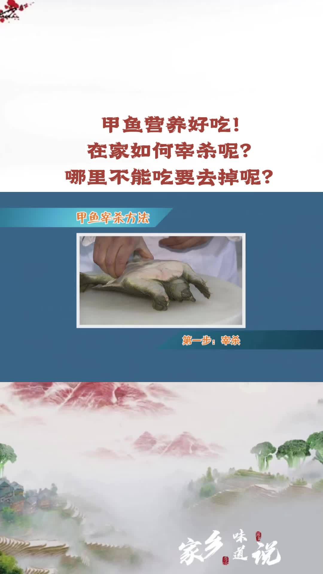 甲鱼营养好吃!在家如何宰杀呢?哪里不能吃要去掉呢?