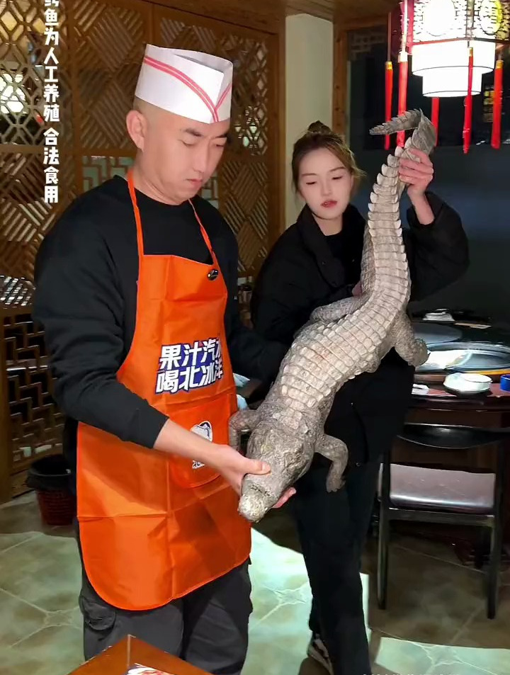 临平闵家桥东北人家出了个铁锅炖鳄鱼,188就能吃到了