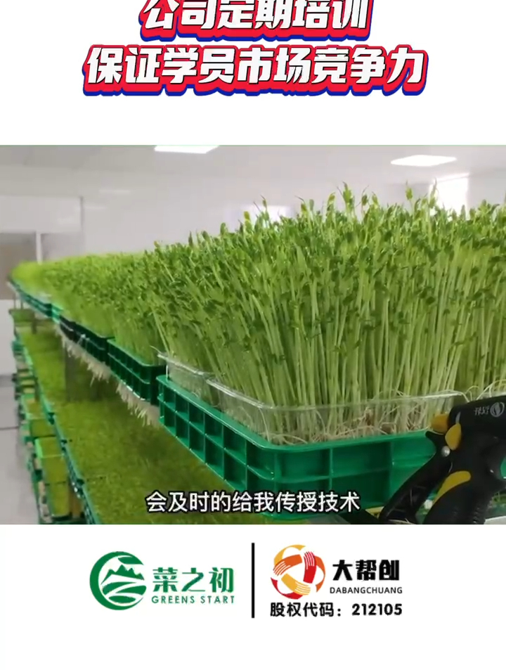 种芽苗菜,这些条件是必不可少的