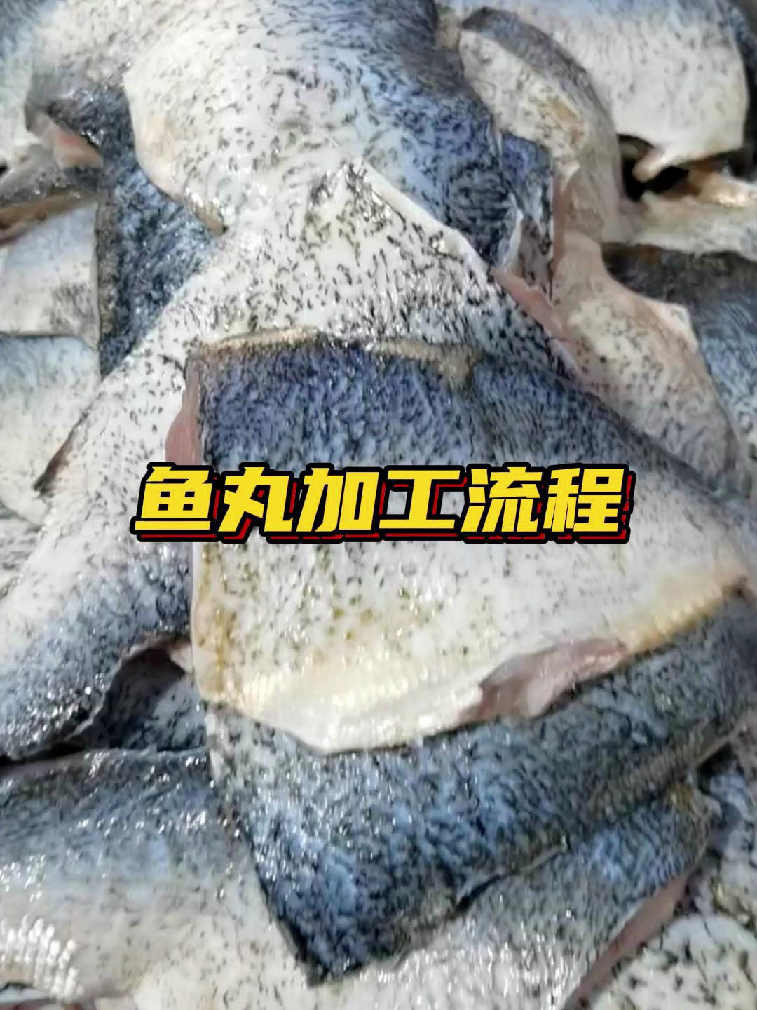 鱼丸加工流程,全套鱼丸机器有哪些组成呢?