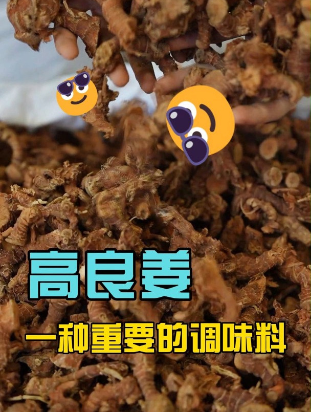 高良姜,一听名字就知道和辛辣有关