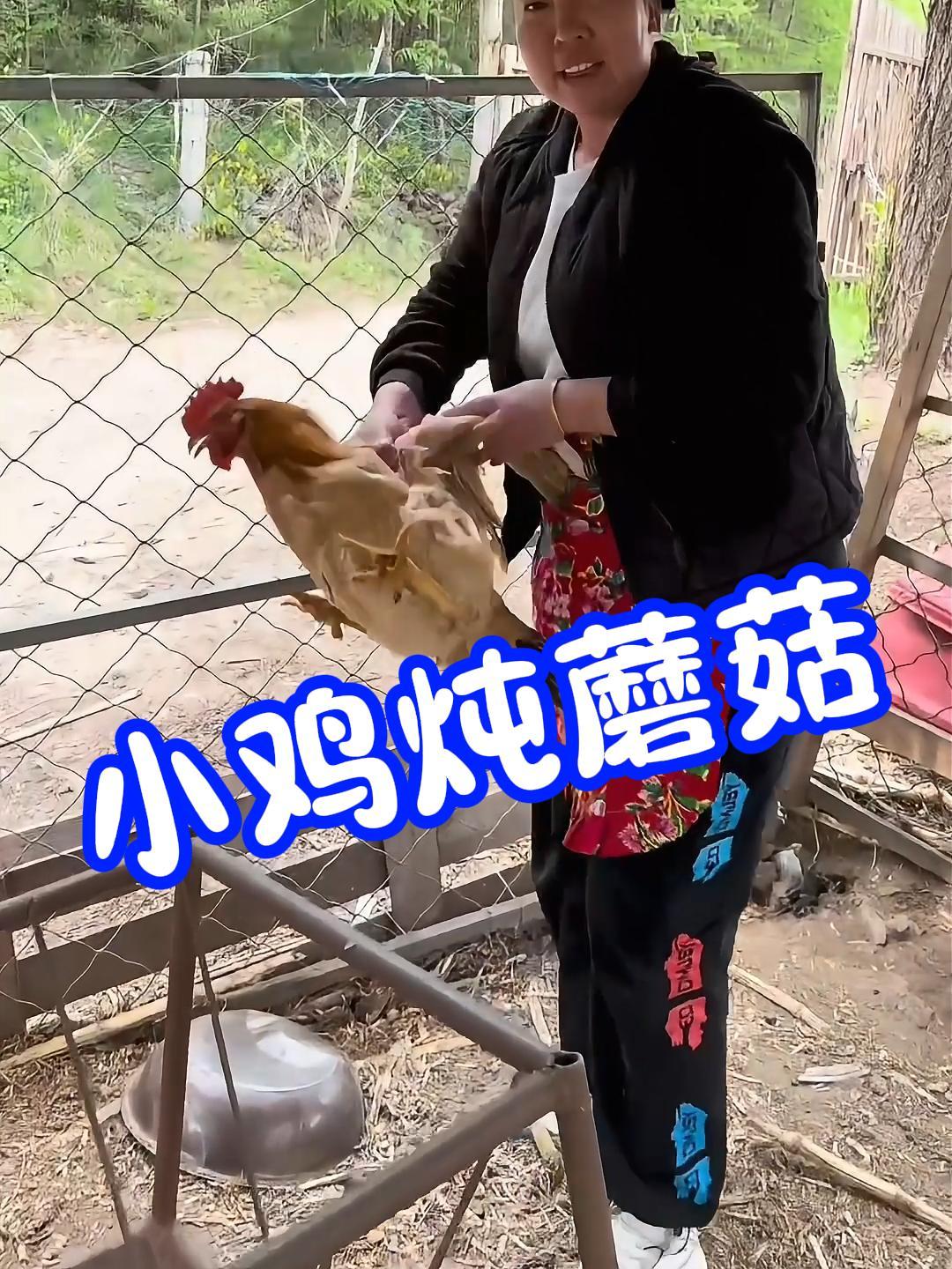 东北名菜小鸡炖蘑菇,翠花:十里飘香全是这鸡味!