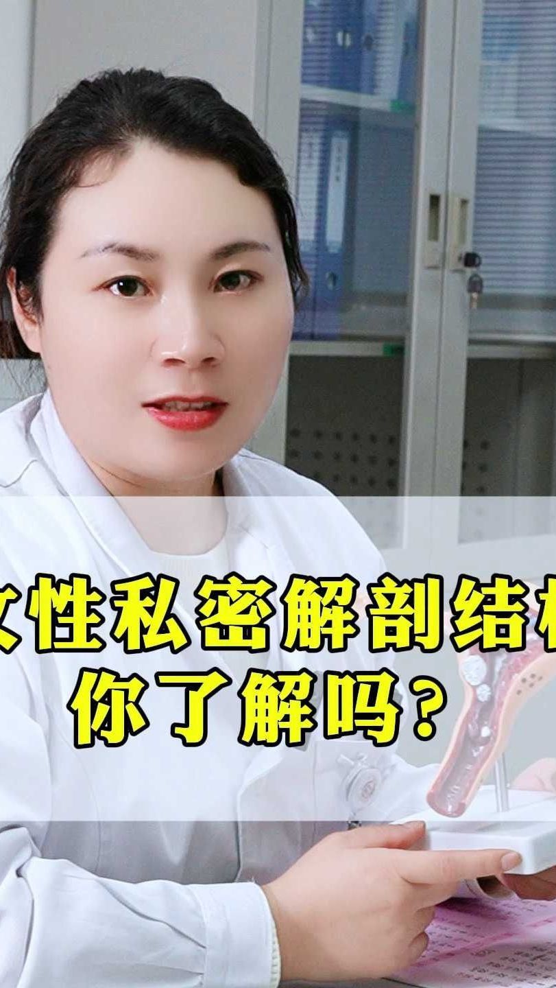 女性私密解剖结构你了解吗?