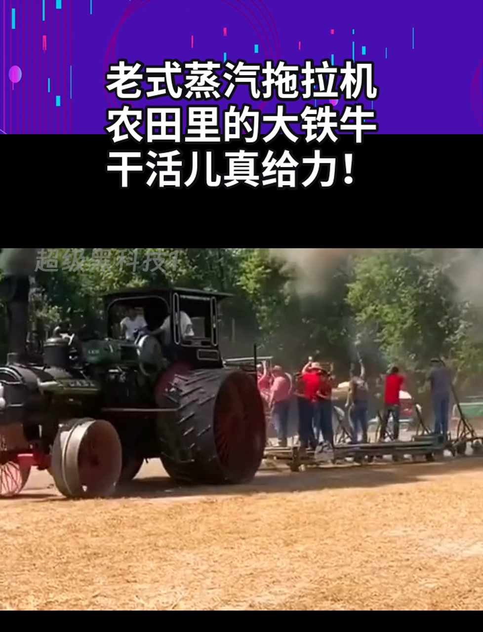 老式蒸汽拖拉机,农田里的大铁牛,干活儿真给力!