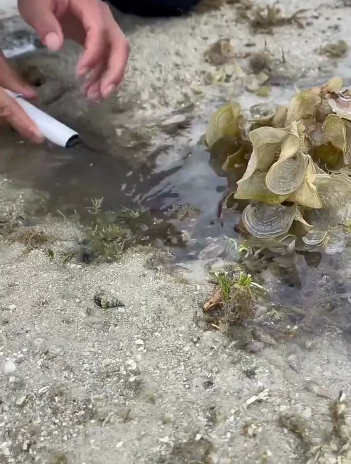 今天通过赶海收获两条咕咕鱼,接着制作了手动推进螺旋桨!
