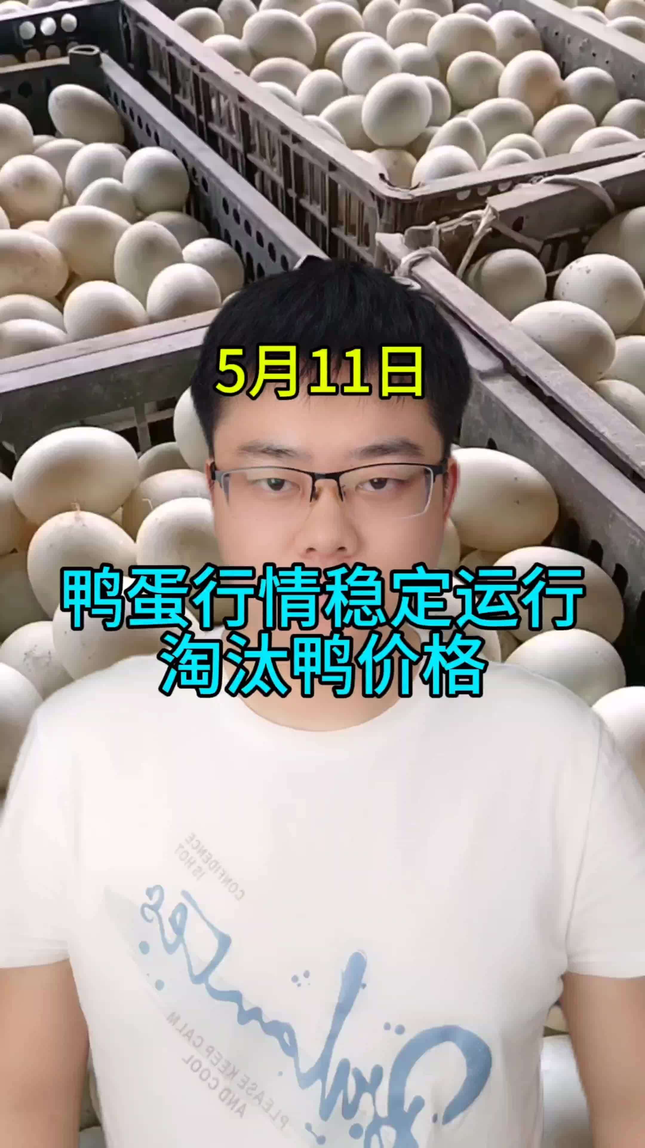 鸭蛋价格今日价格  鸭蛋价格最新行情  鸭蛋价格今日价全国行情 